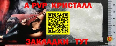 тгк Пугачёв