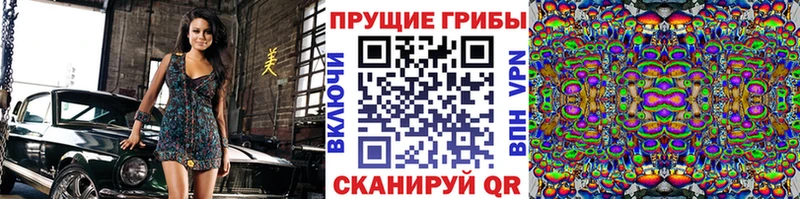Псилоцибиновые грибы Psilocybe  Осинники 