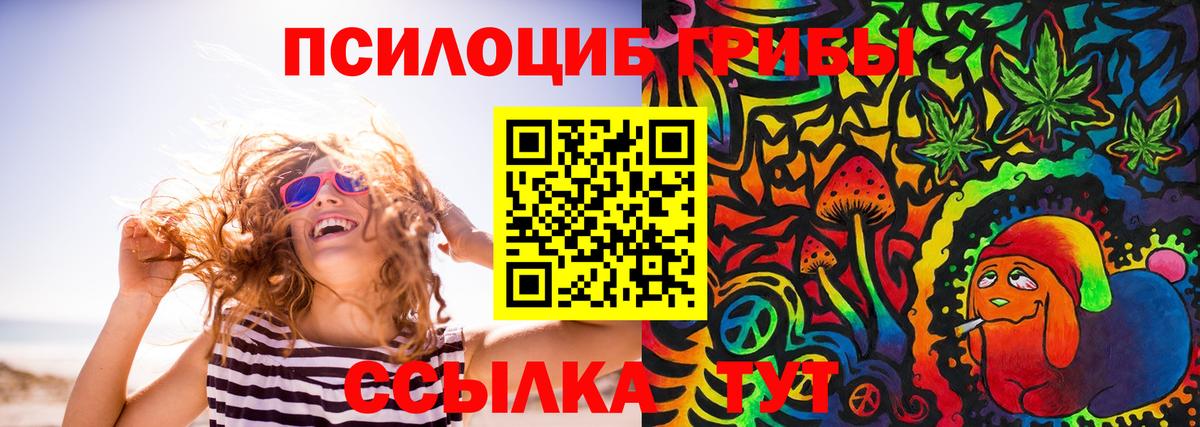 Галлюциногенные грибы прущие грибы  Вход с VPN  Осинники 