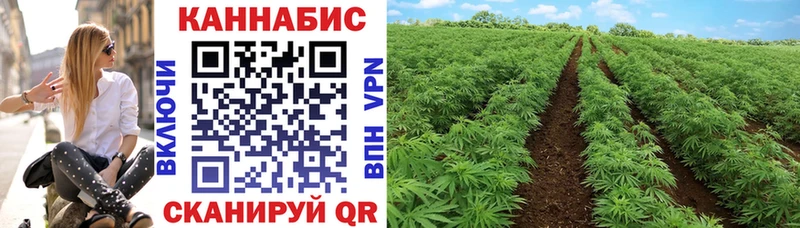 Канабис марихуана  как найти   mega как войти  Осинники 